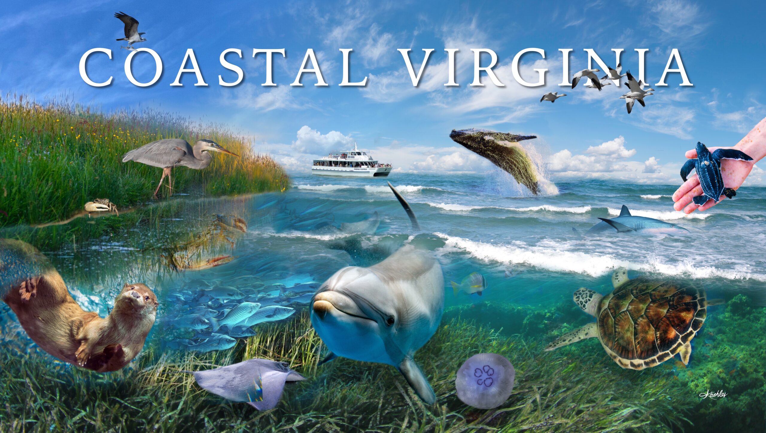 COASTAL VIRGINIA ART POSTER