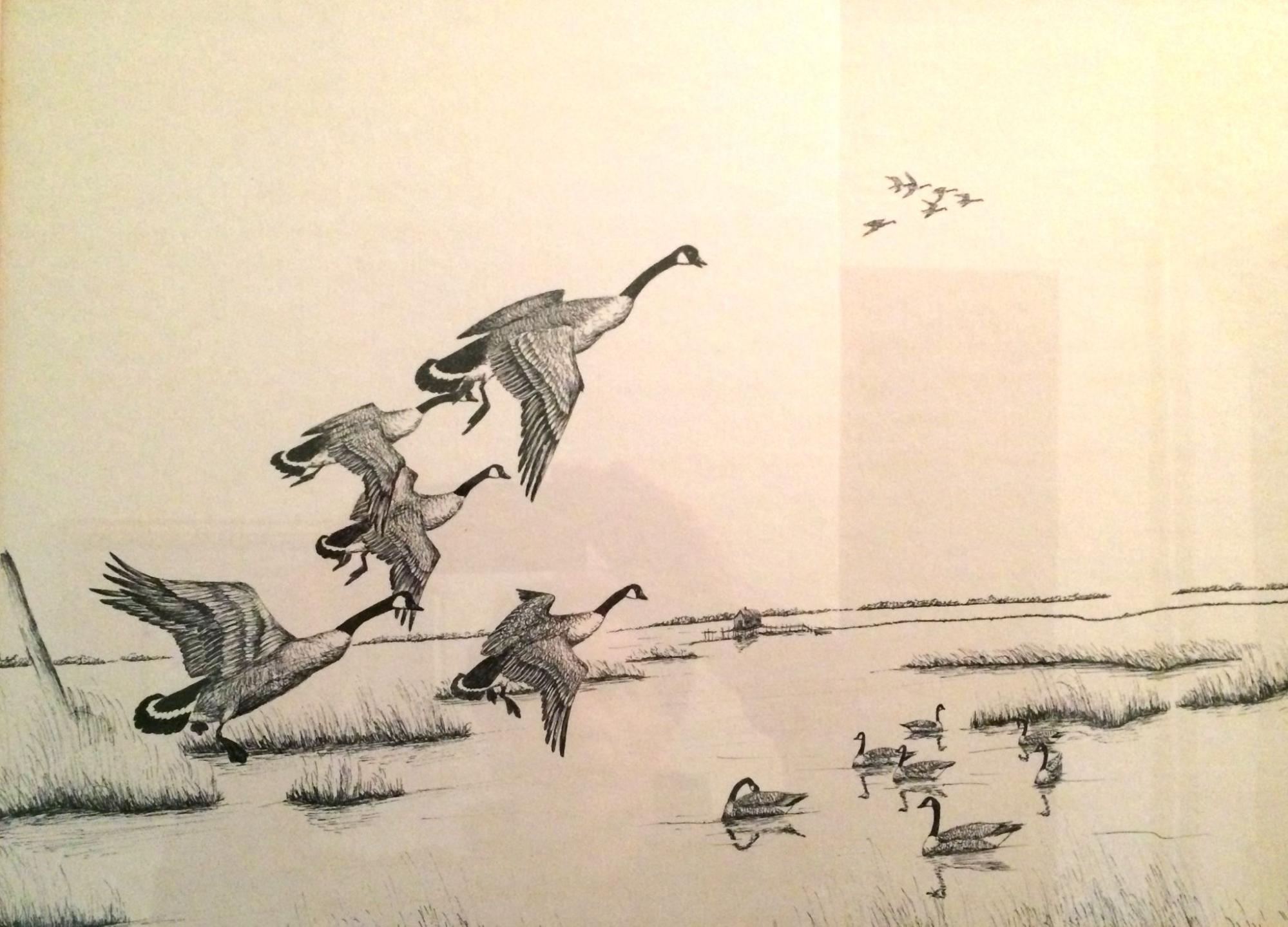 image6